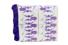 دستمال فلکسی 10 عددی پنبه ریز