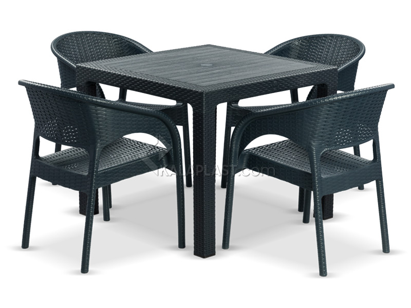 میزوصندلی ناصر